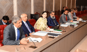 عدالتی اصلاحات سے متعلق سپریم کورٹ پریکٹس اینڈ پروسیجر بل 2023 قائمہ کمیٹی سے منظور