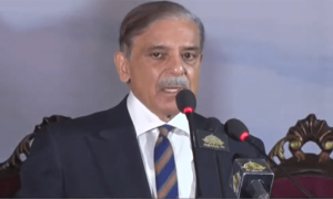 سپریم کورٹ فل کورٹ بنا دے، جو بھی فیصلہ ہو گا ہمیں قبول ہو گا، وزیراعظم