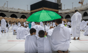 اقتصادی رابطہ کمیٹی کا اجلاس، حج انتظامات کیلئے 16 کروڑ 30 لاکھ ڈالر منظور