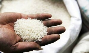 باسمتی چاول کی برآمدات میں مارچ کے دوران 45 فیصد اضافہ