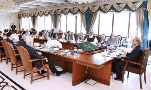 حکومتی اتحاد کا وزیر اعظم پر مکمل اعتماد کا اظہار، تمام فیصلوں کا اختیار تفویض کردیا