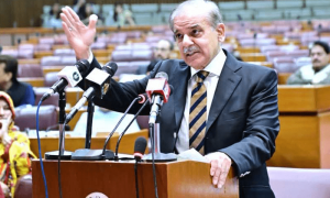 وزیراعظم شہباز شریف پارلیمنٹ سے اعتماد کا ووٹ لینے میں کامیاب