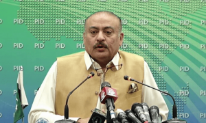پاکستان منکی پاکس سے پاک، واحد مریض بھی صحتیاب ہو گیا، وفاقی وزیر صحت
