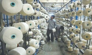 Innovative exporters