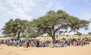 Thousands of Sudanese make perilous trek to safety in Chad