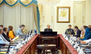 وزیراعظم کا گندم و دیگر اشیا کی اسمگلنگ میں ملوث عناصر کےخلاف کارروائی کا حکم