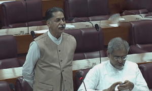 پارلیمان کو بندوق اور ہتھوڑے سے ڈرا دھمکا کر مفاہمت پر مجبور کیا گیا، میاں جاوید لطیف