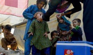 Poliovirus detected in Peshawar, Hangu sewage