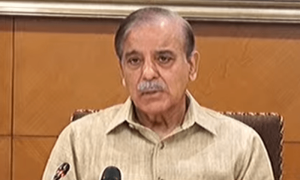 اگلے 72 گھنٹوں میں تمام مجرمان، منصوبہ ساز اور حملہ آور گرفتار ہونے چاہئیں، شہباز شریف