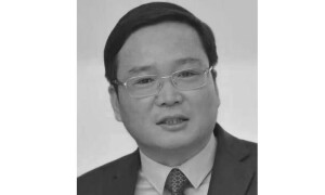 Stability, Cooperation and Development