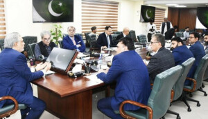 حکومت عوام کو سہارا دینے، معاشی ترقی کیلئے کاروبار دوست بجٹ بنانے کی کوشش کرے گی، وزیر خزانہ