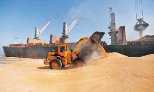 بڑے پیمانے پر درآمدات کے باوجود دالوں اور آٹے کی قیمتوں میں کمی کا نام و نشان نہیں