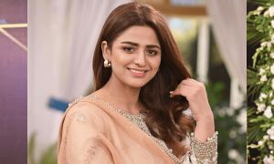لڑکیاں اس وقت فرار ہوتی ہیں جب گھر میں کوئی ان کی بات نہیں سنتا، حرا سومرو