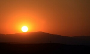 Amnesty calls for global action as extreme heat waves wreak havoc on human rights