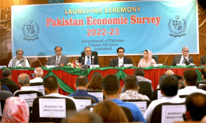 اقتصادی سروے 2023 میں بیروزگاری کے حوالے سے اعدادوشمار موجود نہیں