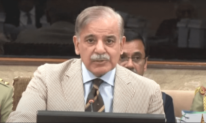 ایم ڈی آئی ایم ایف نے زبانی &rsquo;کمٹمنٹ&lsquo; دے دی، اب معاہدے میں کوئی رکاوٹ نہیں، وزیراعظم