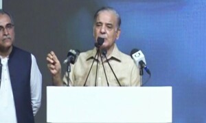 آئی ایم ایف معاہدے میں تاخیر ہوئی تو اس پر حکمت عملی بنائیں گے، وزیر اعظم