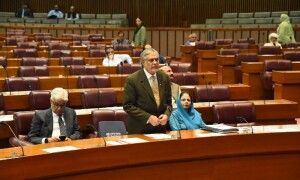 Anomaly committees to comb through budget