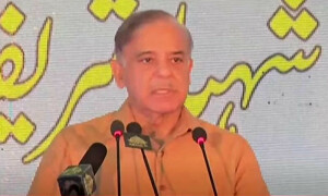 روسی تیل کی آمد سے رجیم چینج کے دعویداروں کا پروپیگنڈا بےنقاب ہو گیا، وزیراعظم