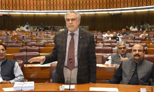 ترقیاتی فنڈز کے حوالے سے قومی اسمبلی کی قرارداد قابل عمل نہیں، اسحٰق ڈار