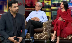 سمندر پار پاکستانیوں کے خلاف مہمان کا &rsquo;احمقانہ تبصرہ&lsquo;، واسع چوہدری کی معذرت