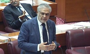 IMF-aligned budget sails through assembly