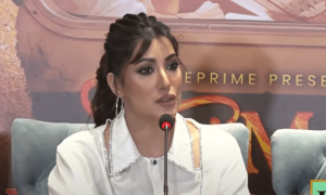 پنجابی فلم میں کام کی پیش کش ہوئی تو ضرور کروں گی، مہوش حیات