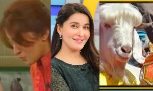 شائستہ لودھی کی مارننگ شوز کے &rsquo;عجیب وغریب آئیڈیاز&lsquo; پر وضاحت