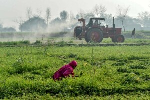 Effects of currency devaluation on agri