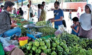 Annual inflation eases to 29.4pc in June from May record