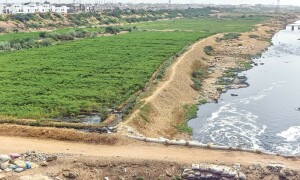 کراچی: عدالتی احکامات کے باوجود سبزی اگانے کیلئے گندے پانی کا استعمال جاری