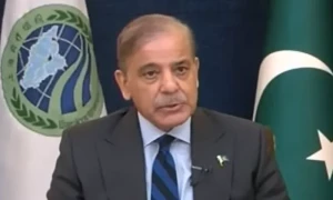 واضح الفاظ میں دہشت گردی کی مذمت کی جانی چاہیے، وزیر اعظم کا ایس ای او سربراہی اجلاس سے خطاب