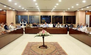 Multi-agency probe sought into zero markup pandemic loans