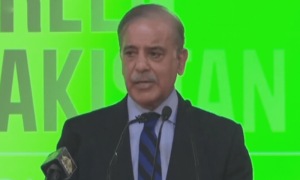 جعلی ادویات کے خاتمے کیلئے آرمی ایکٹ لاگو کرنا چاہیے، وزیراعظم