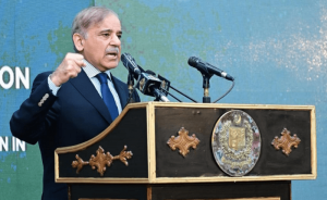 PM Shehbaz promises timely elections, sans exact date