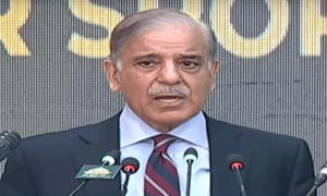 چین کے ایگزم بینک نے کل 60 کروڑ ڈالر رول اوور کر دیے، شہباز شریف