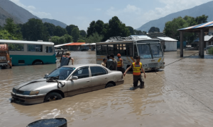 خیبرپختونخوا میں شدید بارشوں سے 9 افراد جاں بحق، اپر اور لوئر چترال میں رین ایمرجنسی نافذ