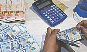 غیر ملکی سرمایہ کاری پر منافع کے اخراج میں 80 فیصد کمی
