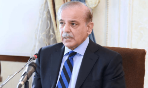 مسلم لیگ(ن) الیکشن جیتی تو نواز شریف وزارت عظمیٰ کے امیدوار ہوں گے، شہباز شریف
