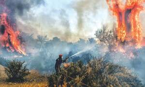 Unforgiving heatwaves torment globe; Europe braces for record highs