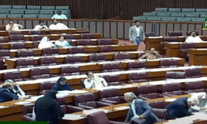 قومی اسمبلی: حکومت کی عجلت میں قانون سازی جاری، اتحادیوں کا رسمی اختلاف