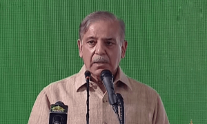 &rsquo;اسٹیبلشمنٹ کا آدمی ہونے کے طعنوں سے میری صحت پر کوئی اثر نہیں پڑتا&lsquo;