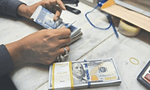 ملکی تاریخ میں پہلی بار انٹربینک مارکیٹ میں ڈالر 300 روپے سے تجاوز کرگیا