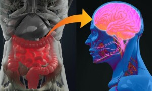 آنتوں کے مسائل سے پارکنسنز بیماری کا خطرہ بڑھنے کا انکشاف