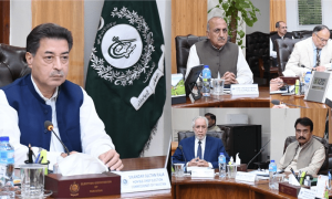 مسلم لیگ(ن) کے وفد کی چیف الیکشن کمشنر سے ملاقات، انتخابات سے قبل حلقہ بندیوں کی حمایت