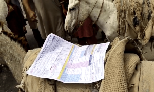 بجلی کے زائد بلوں پر عوام کا غصہ، نگران وزیراعظم نے ہنگامی اجلاس طلب کر لیا