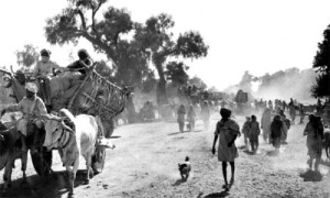 ہجرت کی تلخ داستان اور آئی اے رحمٰن