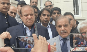&rsquo;مسلم لیگ (ن) کی اعلیٰ قیادت وطن واپس لوٹ کر عوام کا سامنا کرے&lsquo;