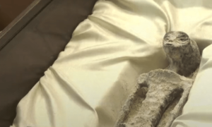 &lsquo;Alien bodies&rsquo; generate stir in Mexico