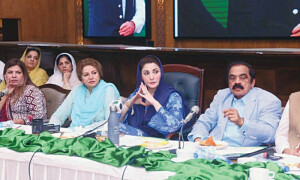 پارٹی رہنما 21 اکتوبر کو نواز شریف کا پُرجوش استقبال کریں، مریم نواز کی ہدایت